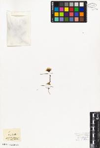 SW_BNB_s3010-02640_IMG-0000000001