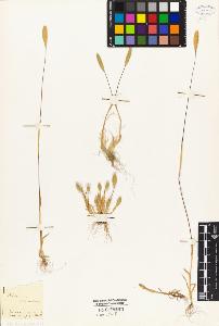 SW_BNB_s3010-02642_IMG-0000000001