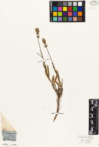 SW_BNB_s3010-02650_IMG-0000000001