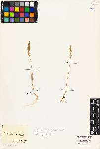 SW_BNB_s3010-02652_IMG-0000000001