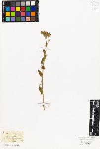 SW_BNB_s3010-02656_IMG-0000000001