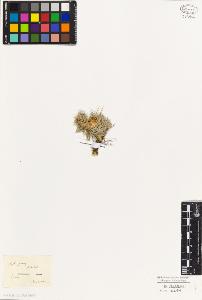 SW_BNB_s3010-02657_IMG-0000000001