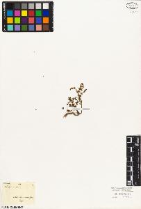 SW_BNB_s3010-02660_IMG-0000000001
