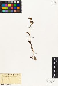 SW_BNB_s3010-02661_IMG-0000000001