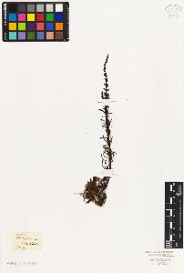 SW_BNB_s3010-02676_IMG-0000000001