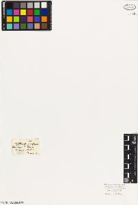 SW_BNB_s3010-02677_IMG-0000000001