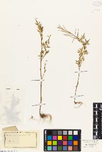 SW_BNB_s3010-02680_IMG-0000000001