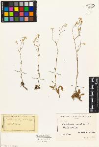 SW_BNB_s3010-02681_IMG-0000000001