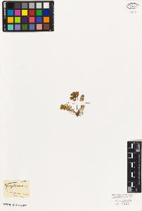 SW_BNB_s3010-02682_IMG-0000000001
