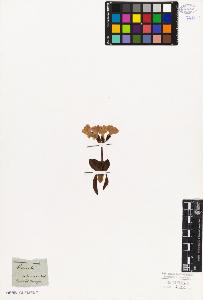 SW_BNB_s3010-02685_IMG-0000000001