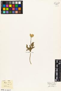 SW_BNB_s3010-02690_IMG-0000000001