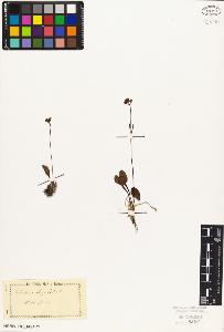 SW_BNB_s3010-02691_IMG-0000000001