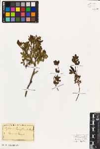 SW_BNB_s3010-02692_IMG-0000000001