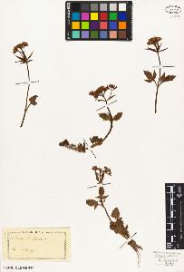 SW_BNB_s3010-02694_IMG-0000000001