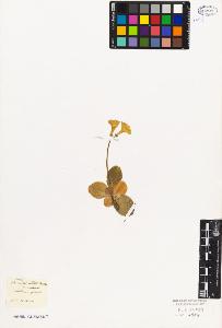 SW_BNB_s3010-02695_IMG-0000000001