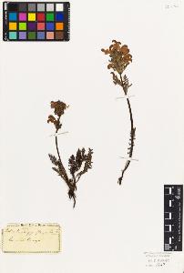 SW_BNB_s3010-02701_IMG-0000000001