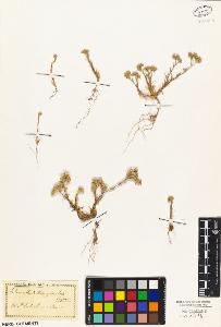 SW_BNB_s3010-02703_IMG-0000000001