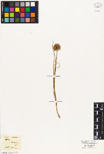 SW_BNB_s3010-02704_IMG-0000000001