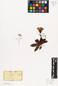SW_BNB_s3010-02708_IMG-0000000001