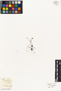 SW_BNB_s3010-02709_IMG-0000000001
