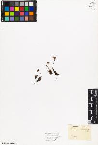 SW_BNB_s3010-02714_IMG-0000000001