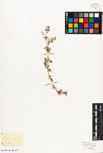 SW_BNB_s3010-02715_IMG-0000000001