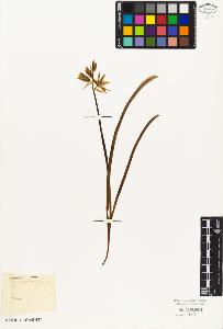 SW_BNB_s3010-02717_IMG-0000000001
