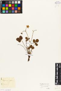 SW_BNB_s3010-02718_IMG-0000000001