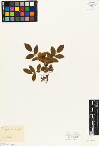 SW_BNB_s3010-02720_IMG-0000000001