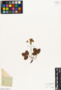 SW_BNB_s3010-02721_IMG-0000000001