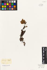 SW_BNB_s3010-02722_IMG-0000000001