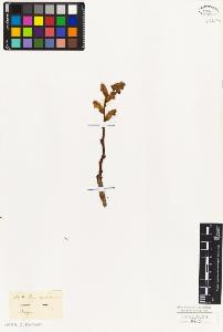 SW_BNB_s3010-02723_IMG-0000000001