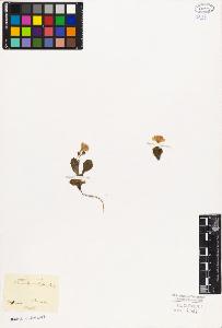 SW_BNB_s3010-02727_IMG-0000000001