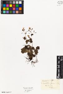 SW_BNB_s3010-02728_IMG-0000000001