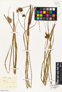 SW_BNB_s3010-02731_IMG-0000000001