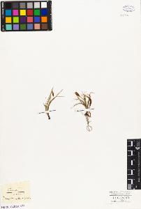 SW_BNB_s3010-02732_IMG-0000000001
