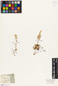 SW_BNB_s3010-02733_IMG-0000000001