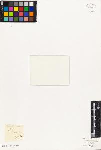 SW_BNB_s3010-02734_IMG-0000000001