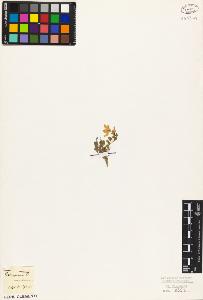 SW_BNB_s3010-02735_IMG-0000000001