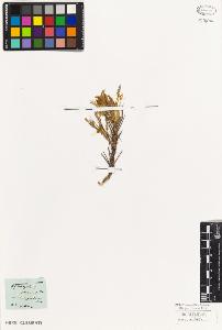 SW_BNB_s3010-02739_IMG-0000000001