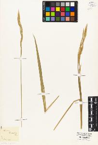 SW_BNB_s3010-02740_IMG-0000000001