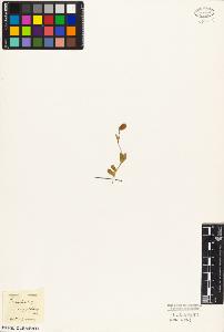 SW_BNB_s3010-02741_IMG-0000000001
