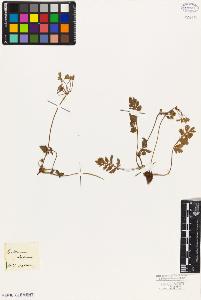 SW_BNB_s3010-02746_IMG-0000000001