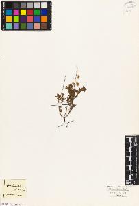 SW_BNB_s3010-02747_IMG-0000000001