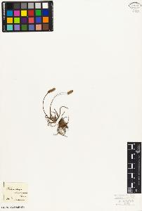 SW_BNB_s3010-02750_IMG-0000000001