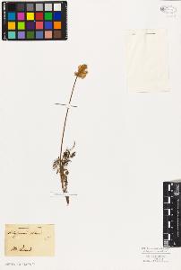 SW_BNB_s3010-02751_IMG-0000000001