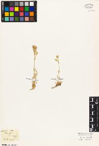 SW_BNB_s3010-02753_IMG-0000000001