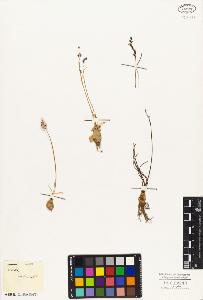SW_BNB_s3010-02764_IMG-0000000001