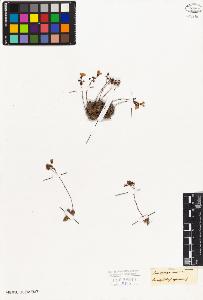 SW_BNB_s3010-02769_IMG-0000000001