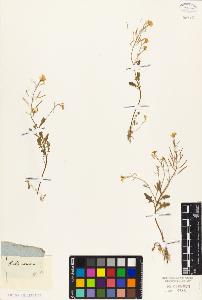 SW_BNB_s3010-02770_IMG-0000000001